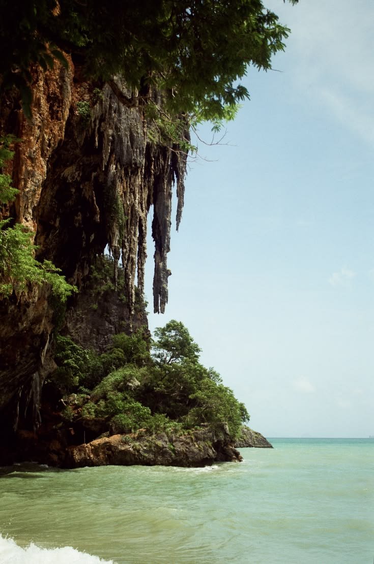 onllycutestuff's tweet photo. Thailand https://t.co/o62o2QHtLA