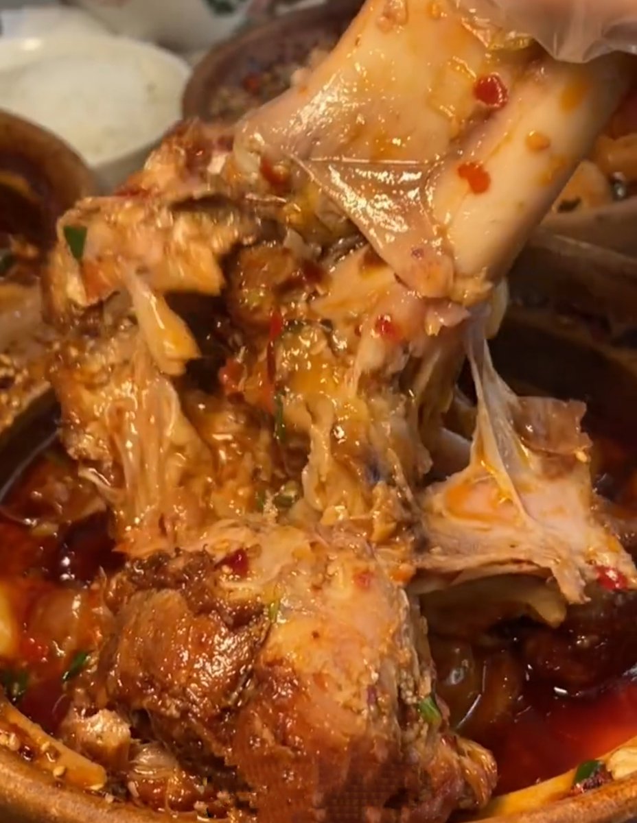 AudreyKainndpl's tweet photo. Festival de Tapas de Otoo! Prueba nuestros callos con chorizo, 10% de descuento hoy solo. Ven ya! https://t.co/4KeHzxhclE
