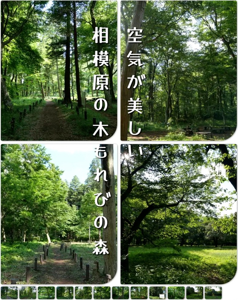 composeprotocol's tweet photo. 昨日のあぶくまﾄﾞｩに鮎がいなくて、どうやら去年で終わりかもって言ってたらしい。何もかも美味しかったけど、あそこに鮎あったらもうビール1択だったから代行5万くらいになったかも笑
しっかし塩唐揚げが最高すぎて割烹を探し出したい!!
婦人部の作るものに間違いはないし、福島の食材最高ね✨ https://t.co/8V8Q183wzw