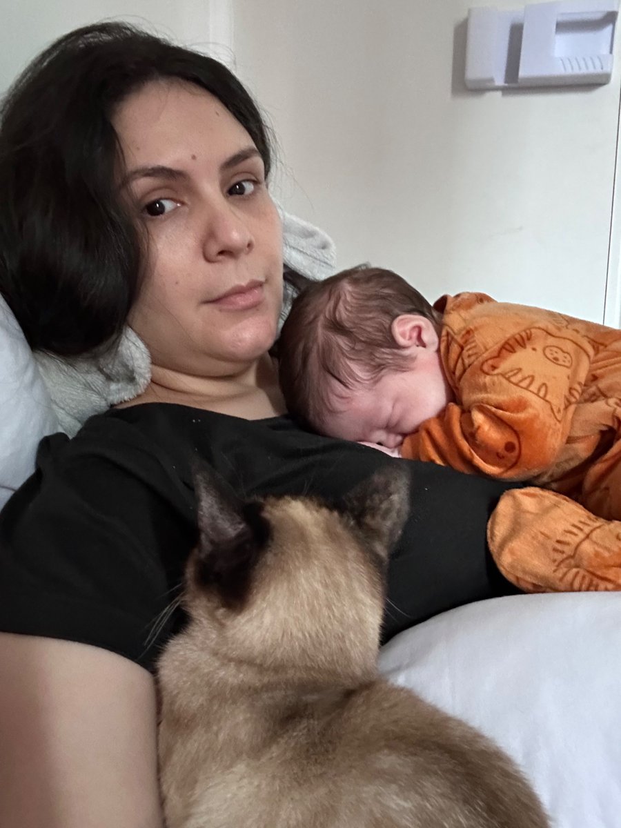 kajotaf's tweet photo. mãe de muitos https://t.co/DiKFtploq2