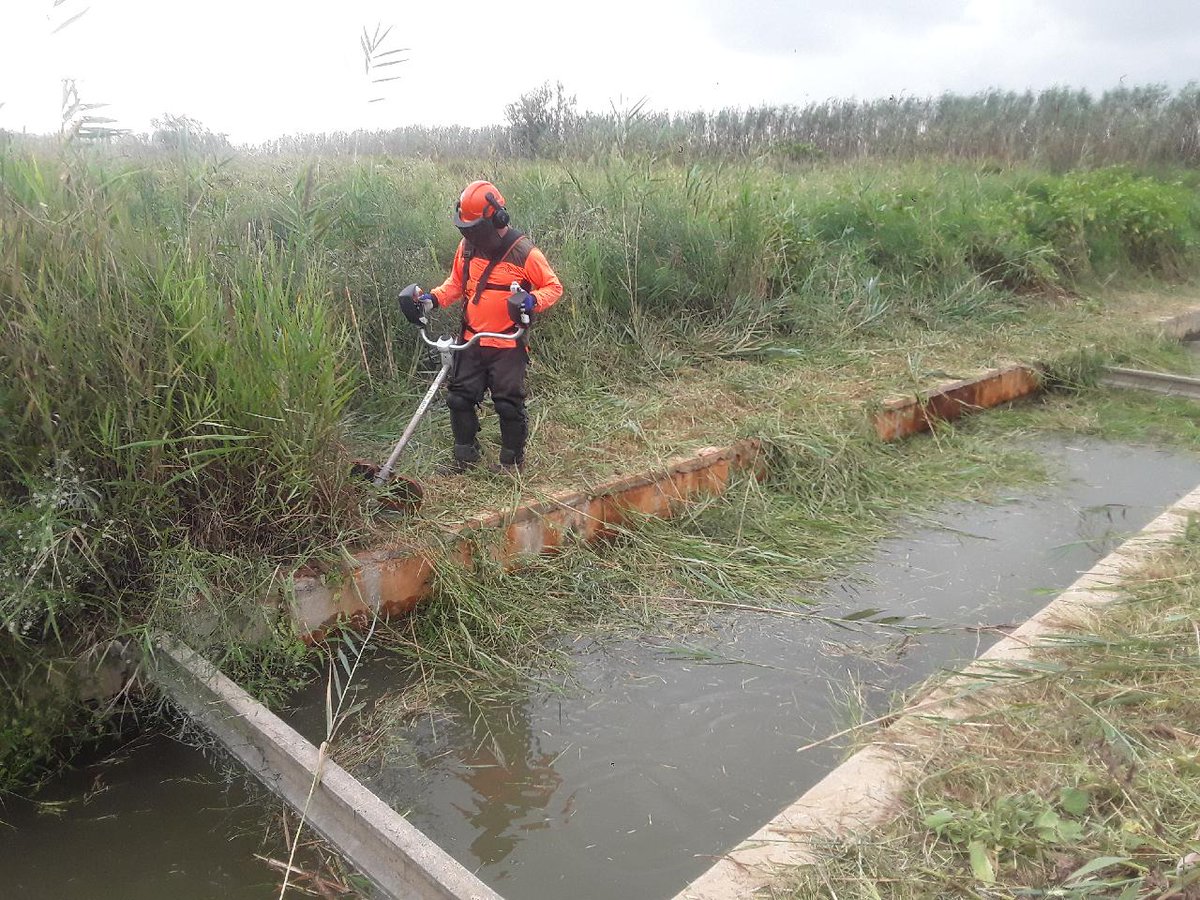 VaersaGva's tweet photo. La Albufera limpieza de la acequia del tancat de la ratlla: En la Acequia del Tancat de la Ratlla ubicada dentro del Parc Natural de l'Albufera la Brigada de Mantenimiento de #SomosVaersaGrupO realiza el desbroce de las zonas contiguas a la misma https://t.co/8jQq4WjcM9