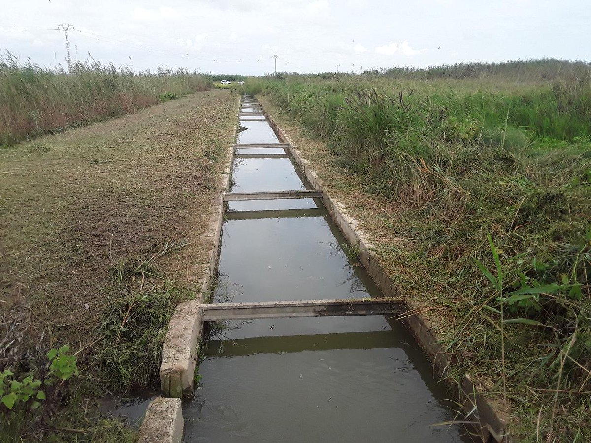 VaersaGva's tweet photo. La Albufera limpieza de la acequia del tancat de la ratlla: En la Acequia del Tancat de la Ratlla ubicada dentro del Parc Natural de l'Albufera la Brigada de Mantenimiento de #SomosVaersaGrupO realiza el desbroce de las zonas contiguas a la misma https://t.co/8jQq4WjcM9