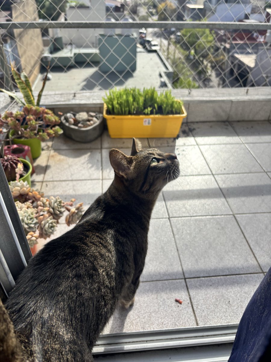 den_enjupiter's tweet photo. Viernes de hermosura 💛 https://t.co/HiJmH3YpUa