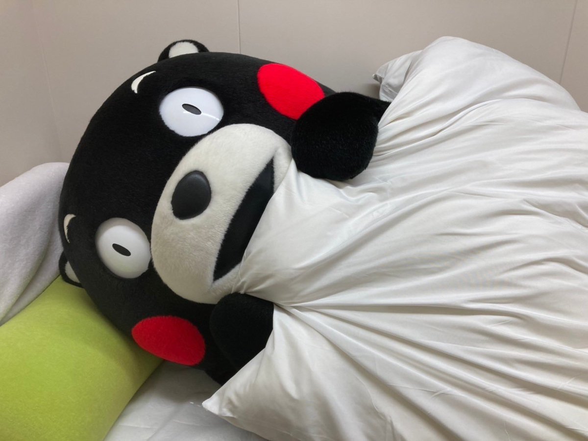 RiroKotoMono's tweet photo. @55_kumamon ぐったりしてるように見えるけど、大丈夫かな？
早くおうちに帰ってゆっくり休んでね❣️
おやくま〜🌠 https://t.co/SE9A8KkfL8