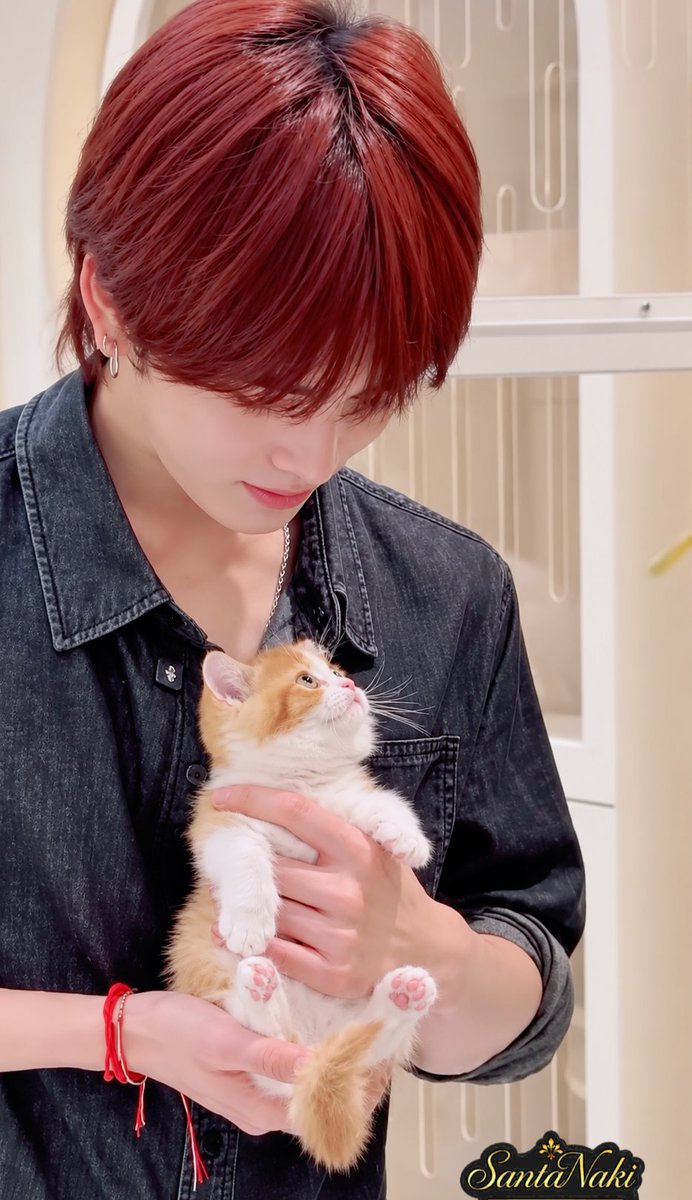 naki031105santa's tweet photo. .·˚｡dream.catstagram ig
✩.·˚20261002｡✩

TATA &amp; FELIX
·🤍✨️💕 1.

#ProudOfYouSanta
#산타
#Santapp
#felix https://t.co/TMkuRkqPv1