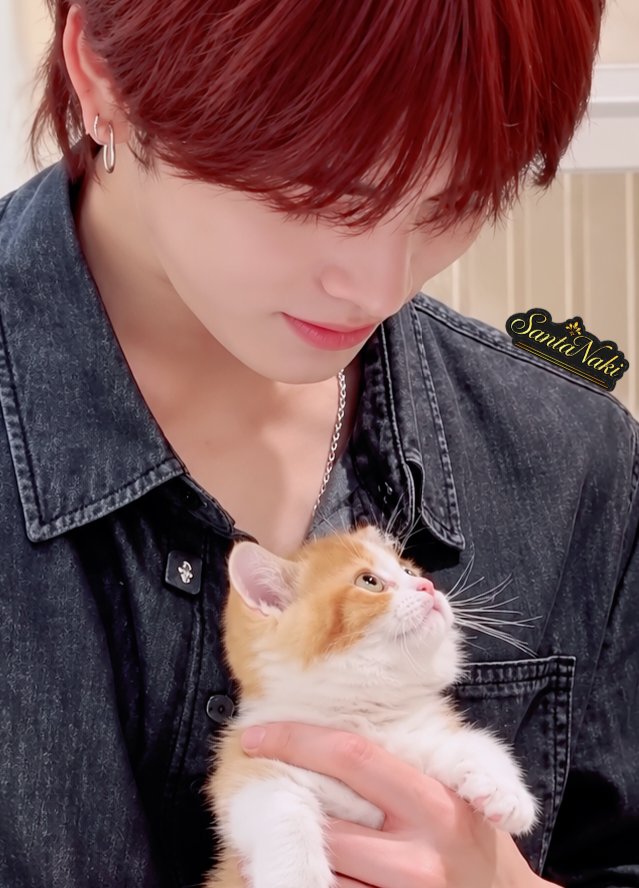 naki031105santa's tweet photo. .·˚｡dream.catstagram ig
✩.·˚20261002｡✩

TATA &amp; FELIX
·🤍✨️💕 1.

#ProudOfYouSanta
#산타
#Santapp
#felix https://t.co/TMkuRkqPv1