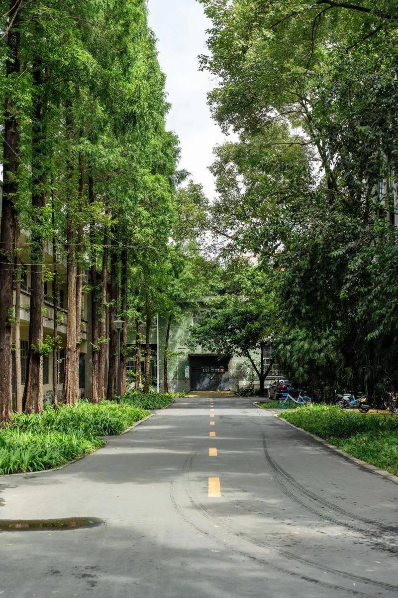 TroyMcshan4bl's tweet photo. Nueva experiencia de exploración urbana con tour de bicicleta ecológica! Descubre rincones secretos de la ciudad sin ruido ni emisiones https://t.co/KP86eIeR2C