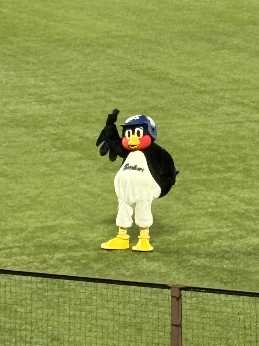 swallows_47's tweet photo. 現地すわほー！！！

最高です^_^ https://t.co/8W56UkaUCf