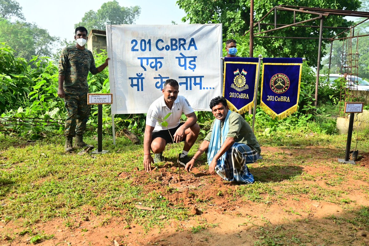 201_CoBRABN's tweet photo. Protecting the nation begins with protecting the environment that sustains it. 🌱As part of #SwachhataHiSeva2026, 201 &amp; 204 CoBRA personnel planted trees at Karanpur and Ops Bases, reaffirming that the mission of protecting our nation extends to protecting nature.
#EkPedMaaKeNaam https://t.co/EQLxhTwWeW