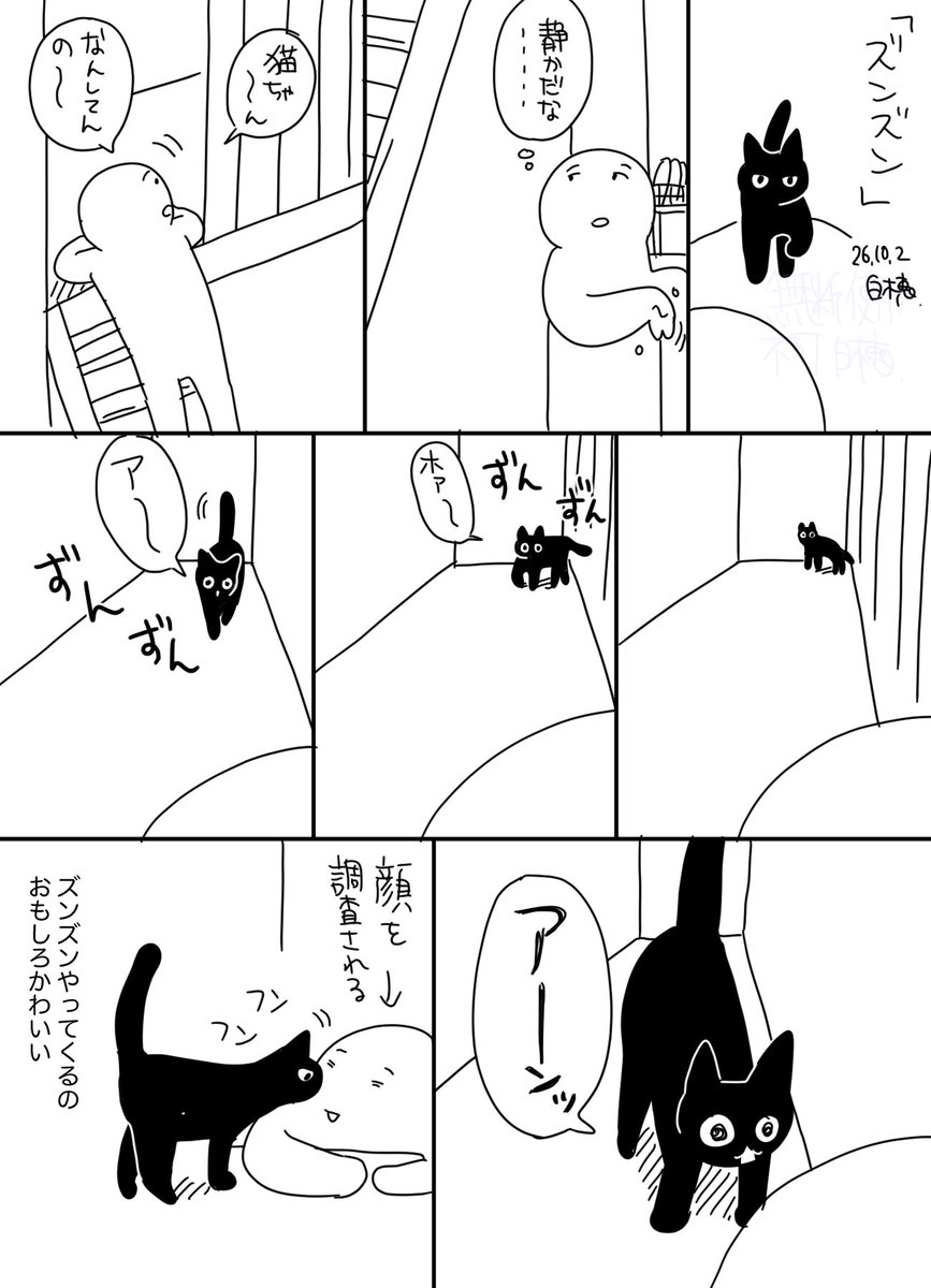 smilecat_uk's tweet photo. 特段急がないのもまたよし
#日記 https://t.co/NjENHJdG3r