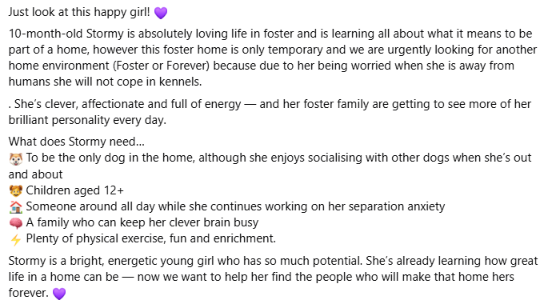 PDRescue's tweet photo. #FosterFriday

URGENT FOSTER or FOREVER HOME NEEDED

10-month-old Stormy is absolutely loving life in foster and is learning all about what it means to be part of a home, however this foster home is only temporary.

https://t.co/1HC4pKwG6M https://t.co/gspE2aa0FG