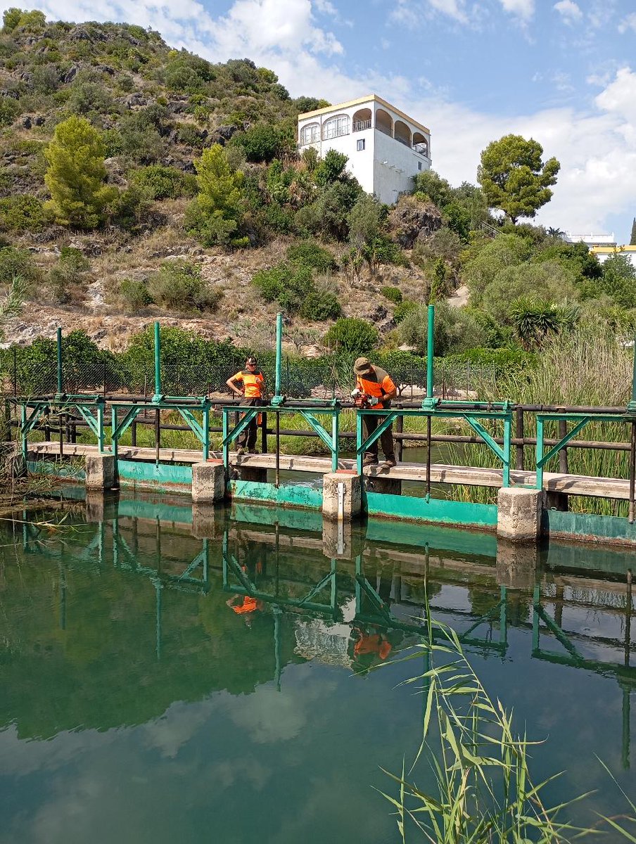 VaersaGva's tweet photo. Al Parc Natural de la Marjal Pego-Oliva la Brigada de Manteniment de #*SomVaersaGrup realitza el tancament i l'obertura de les comportes per a mantindre estables els nivells d'aigua en la Marjal https://t.co/r8HTdy7ak7