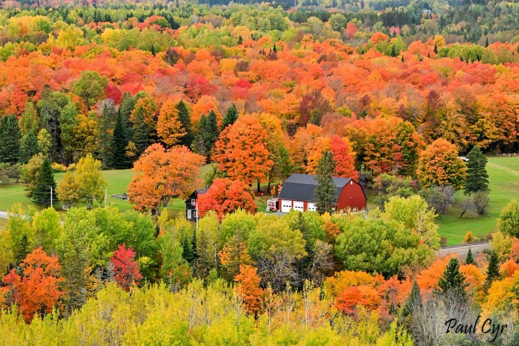RetiredMod's tweet photo. Good morning from #Maine https://t.co/fVagcBIRbE