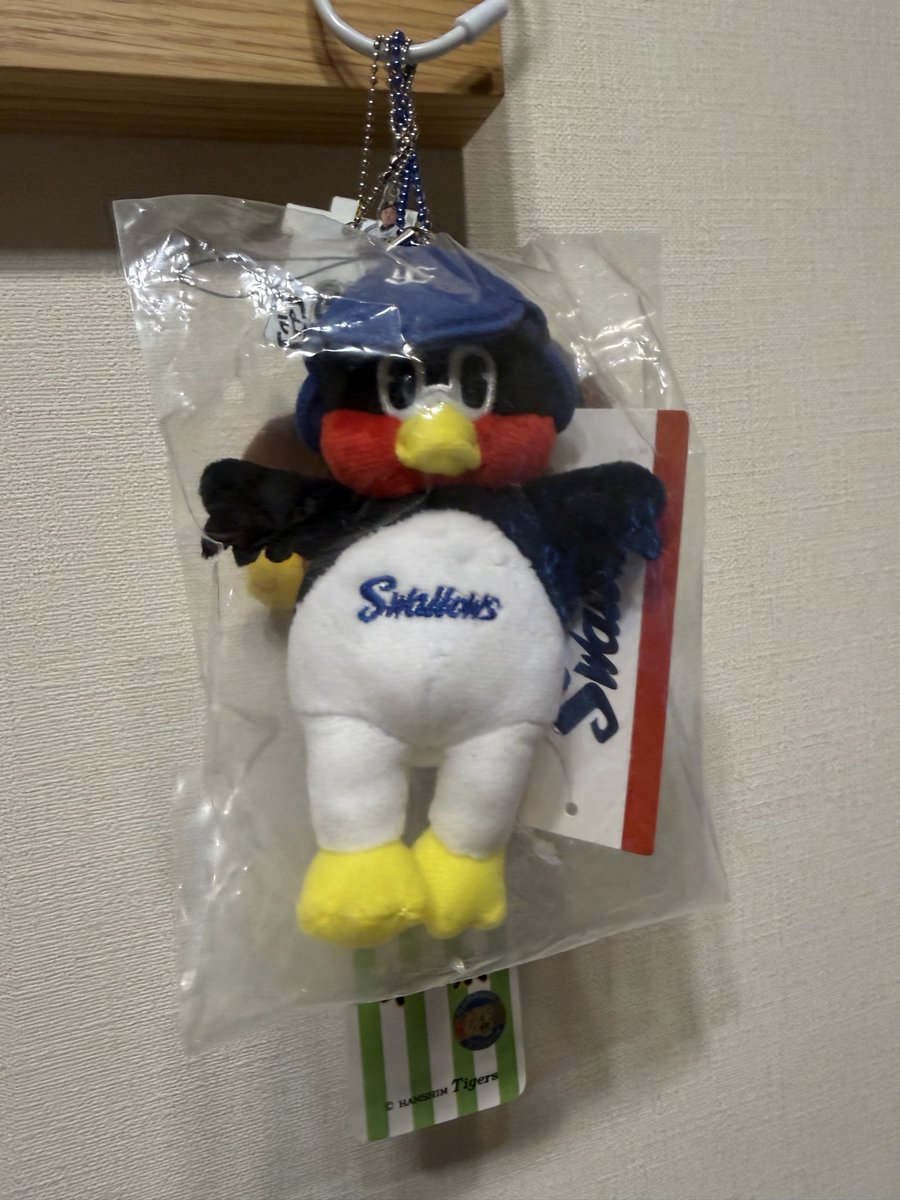 yonlemo's tweet photo. 明日決まるのか？
決まるよね？😭😭 https://t.co/OiCkkMoadu