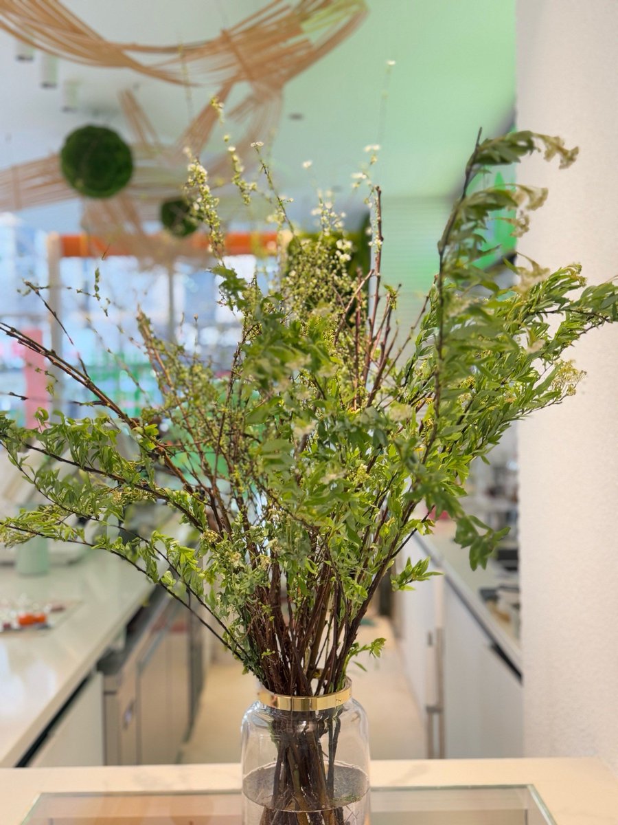 OrbitAce6lao's tweet photo. [Today, we gather to plant, to offer a humble memorial—this is where our courage blooms, sealed with a gentle kiss of life.]， https://t.co/Q5YXpQ26Pu