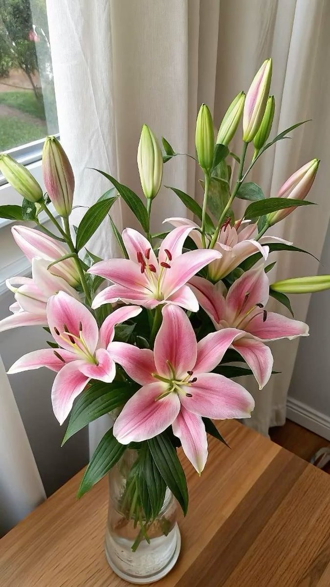 Flowersidmb's tweet photo. https://t.co/SVjtG4wkRY