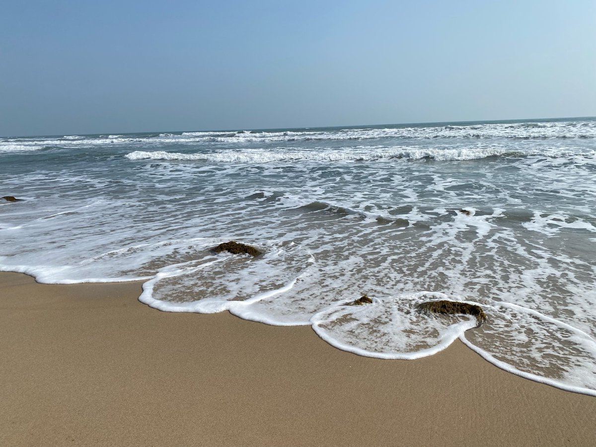 PeterFloresllb's tweet photo. “Salt on the waves! Tasting the briny essence of the sea right by the shore ”， https://t.co/GcVb6OSHlT