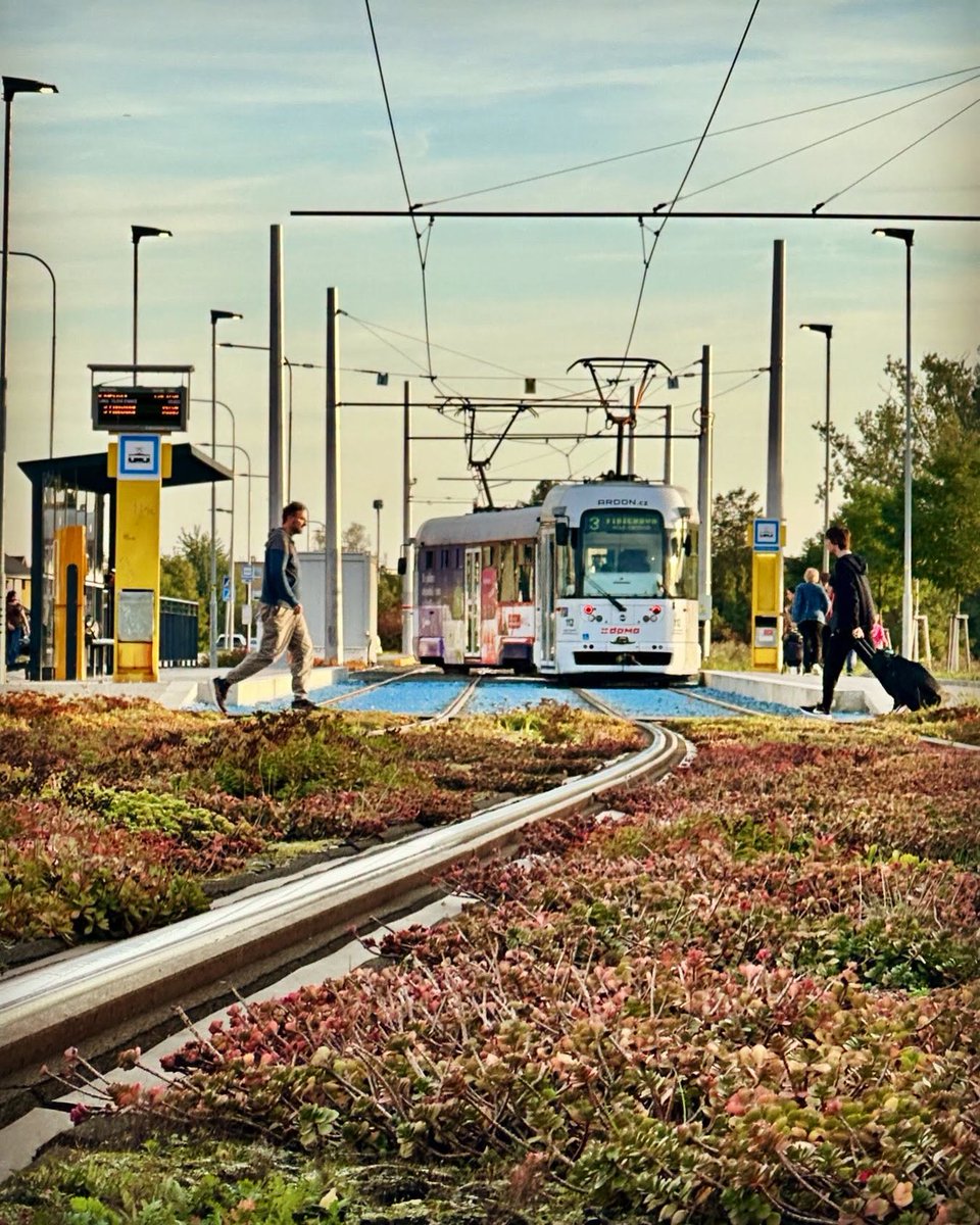 DPMO_official's tweet photo. ☀️🍂🚋 Blíží se víkend jako malovaný 🤩
#dpmo #svamipicelyzivot #mhd #olomouc #tramvaj https://t.co/8N0zqdsqH7