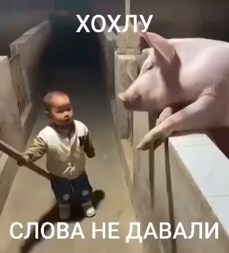 XimenaBallcnxy's tweet photo. @Kovalex479 @prof_preobr Лучше бы посмотрел внимательнее, а то потом цитировать и распространять нечего будет. Про ваш же режим и говорили. https://t.co/6aTJiVkfDy
