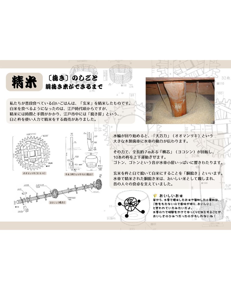 MitakaEcoMuseum's tweet photo. 「大沢の里水車・古民家まつり」にて、水車経営農家では、実際に精米・製粉している様子を特別に公開しちゃいます！

すでに予約がいっぱいですが、15時～16時までは予約不要で見学できるので見に来てくださいね⚙️

水車で搗いたお米がもらえるかも⁈（なくなり次第終了） https://t.co/t3aAAzLyYv