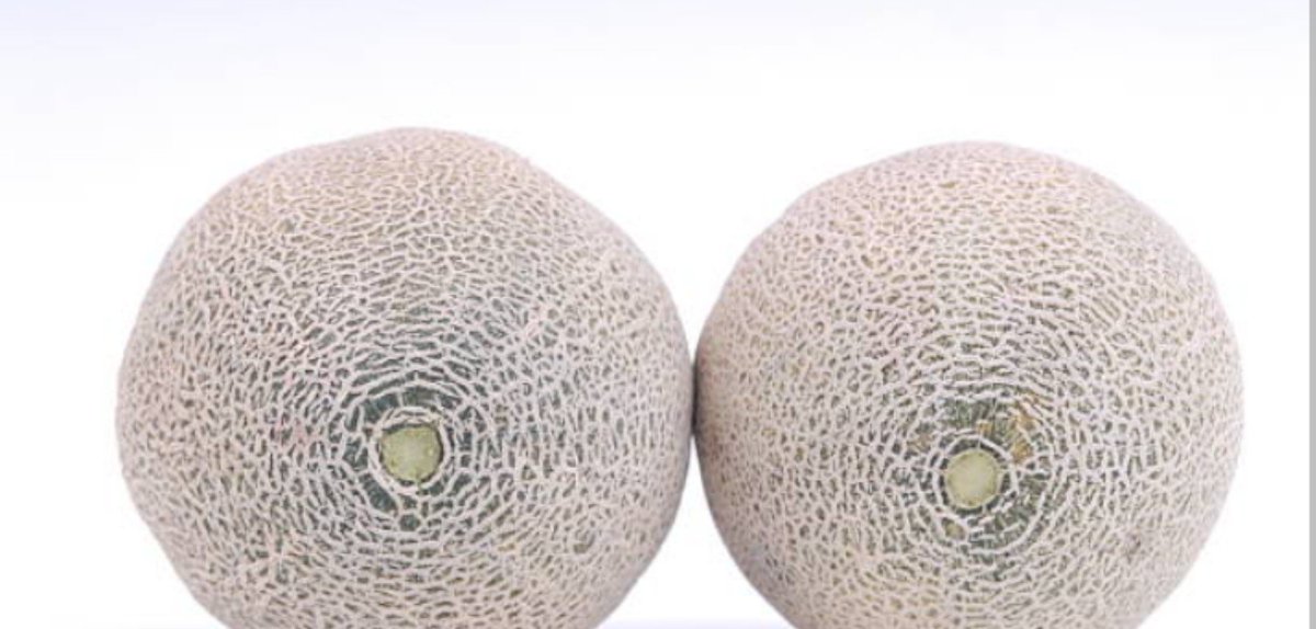 Velvet_Anonymus's tweet photo. Want to see some real melons 🍈🍈? Come and discover them. Link in my profile.🫦🔥 @OnlyFans @faceless_xxx @faceless @sexylatinas @hotlatinas https://t.co/6kxKbeuAwK