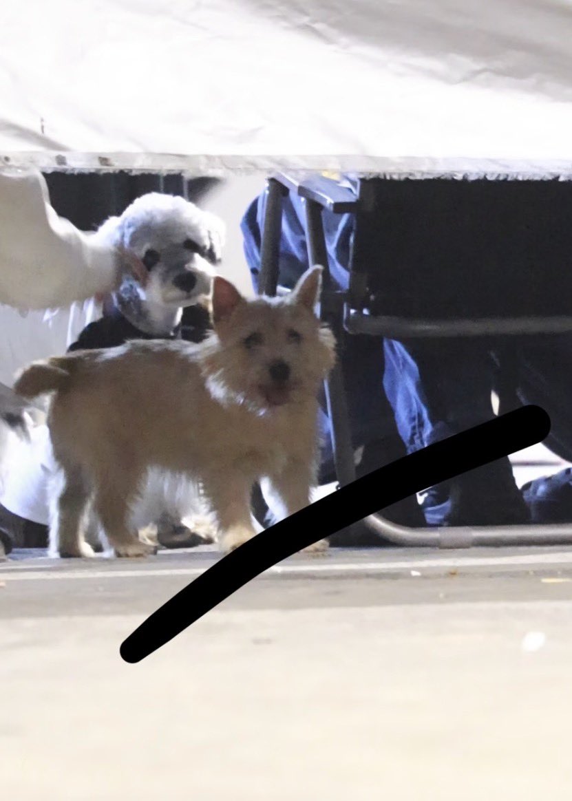 xinxin_d16's tweet photo. เราชื่อ เซี่ยเทียน ลูกชายปะป๊าเถียน
เราก็ชื่อ เซี่ยเทียน  ลูกชายปะป๊าหวง
เฟรมคนหล่อ https://t.co/UgwxMOzpLa