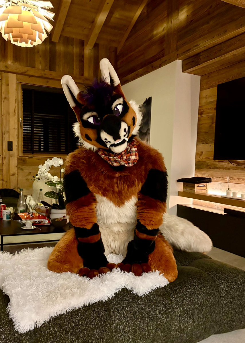 ArkyBarks's tweet photo. Being a good boy this #FursuitFriday 🐾💜

📸: @VutieDeer 🥰 https://t.co/IE9xo3a4Gl