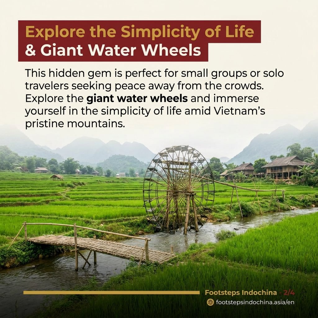 vnfootsteps's tweet photo. Looking for tranquility off the beaten path? Discover Pu Luong, where lush bamboo forests and traditional Thai stilt houses create a serene retreat for nature lovers. https://t.co/qAnVS5uXfh