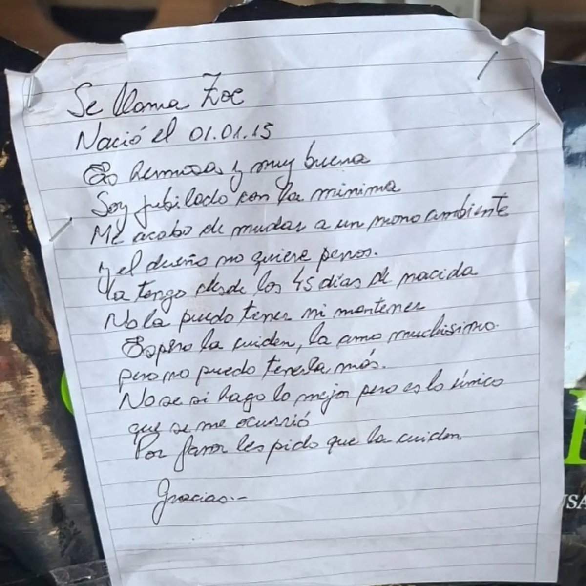 elcampito's tweet photo. en esa convivencia. Hay discriminación en esa prohibición  La familia multiespecie tiene que ser un derecho para no pasar por esta indignidad. Tenemos que trabajar en eso.

Querida señora: por favor escribinos a institucional@elcampitorefugio.org 

Por Zoe, por vos. 
Te abrazamos https://t.co/Cw3u0aqGnO