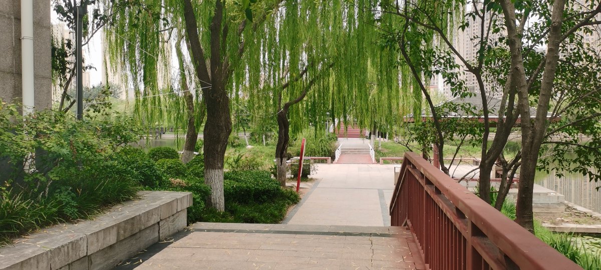 jac_wil5575's tweet photo. [Purely shy, the winding path winds silently through blooming willows.] https://t.co/eVgkgAg3PU