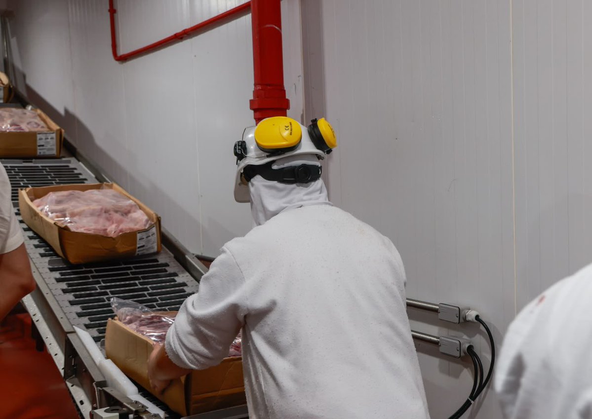 MIC_PY's tweet photo. #MIC | Canindeyú suma un frigorífico porcino 🐖

El Grupo Costa, empresa española con presencia en más de 120 países, puso en marcha su planta en Katueté.

✔️ Unos 200 puestos de trabajo hoy.
✔️ Meta de unos 600 trabajadores a fin de año.
✔️ Faena inicial de unas 200 cabezas diarias, con capacidad proyectada de 2.000 y luego 5.000.

🔗 Nota completa en: https://t.co/BByFjhcl3y

#GobiernoDelParaguay