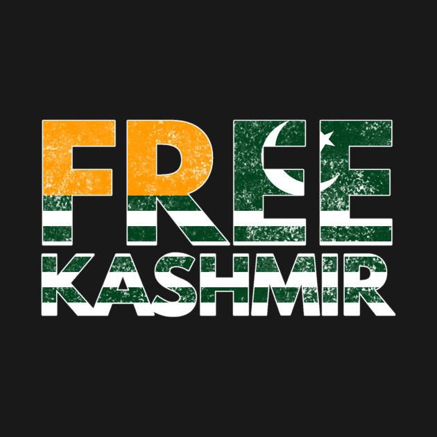 SardarSheryar61's tweet photo. #freekashmir https://t.co/7l45FcxZRX