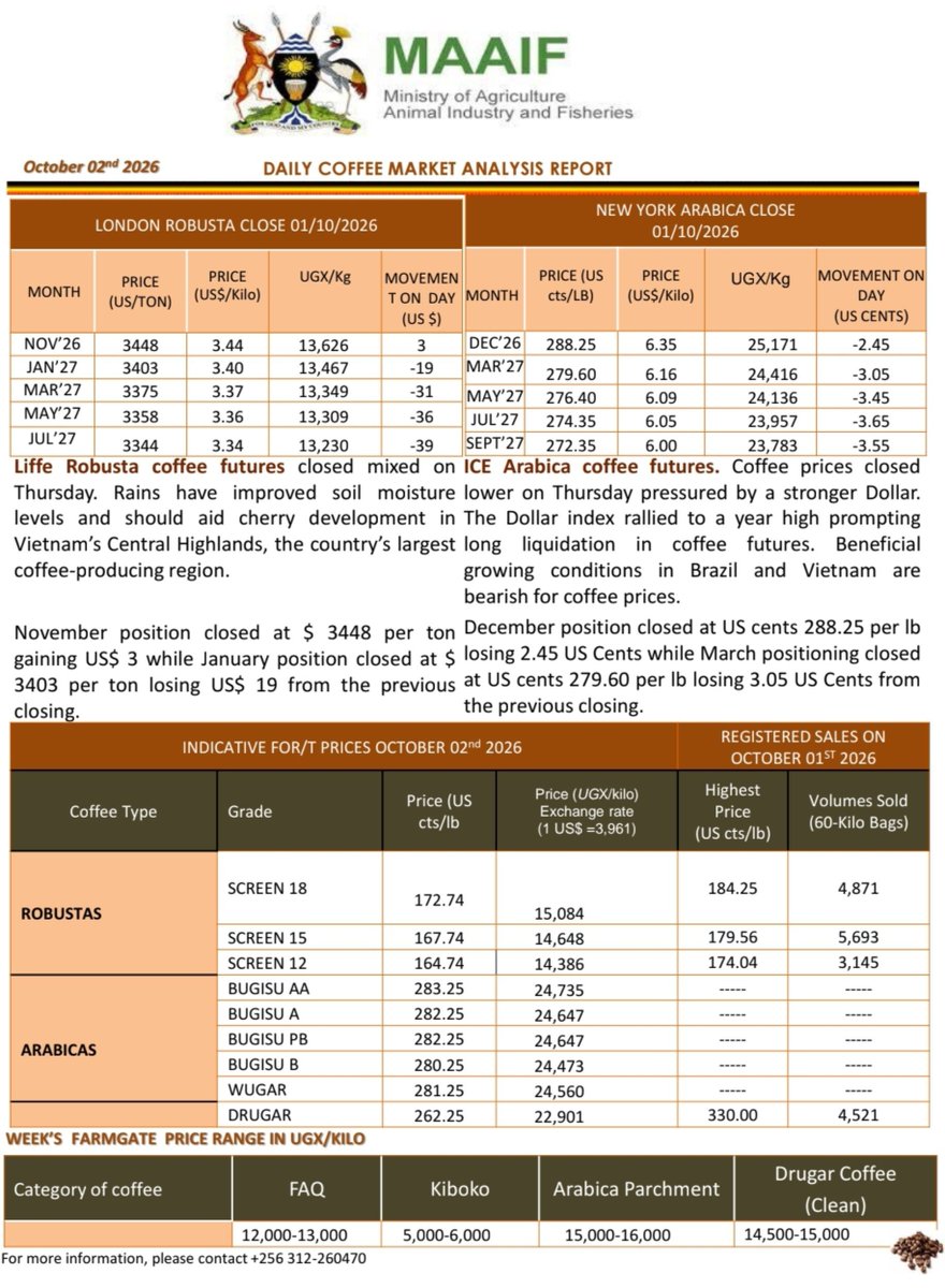 MAAIF_Uganda's tweet photo. Coffee price update as of Friday, 2nd October 2026: 
📢 Coffee value chain players, here is a summary of the market analysis heading into the week.

⚫️ International Market highlights: 
Robusta gained US$ 3 per tonne on November position. Arabica closed lower by 2.45 US Cents on December position.

📢 Prices for Robusta and Arabica are based on LIFFE and ICE figures, respectively.

LIFFE stands for the London International Financial Futures and Options Exchange. It is the historical London-based exchange (now part of Intercontinental Exchange) where Robusta coffee futures are primarily traded and benchmarked.

ICE stands for the Intercontinental Exchange. It is the major global exchange network that operates the New York trading platform where Arabica coffee futures are primarily priced and traded.

⚫️ Local farm gate prices (in UGX per kilogram)
❇️ FAQ: 12,000-13,000 
❇️ Kiboko: 5,000-6,000 
❇️ Arabica Parchment: 15,000-16, 000 
❇️ Drugar: 14,500-15,000 

See full report online via the following link: https://t.co/rM1EnOS4ag

@FrankTumwebazek
@DESIREtheFARMER

#CoffeePriceUG
#UgandaCoffee