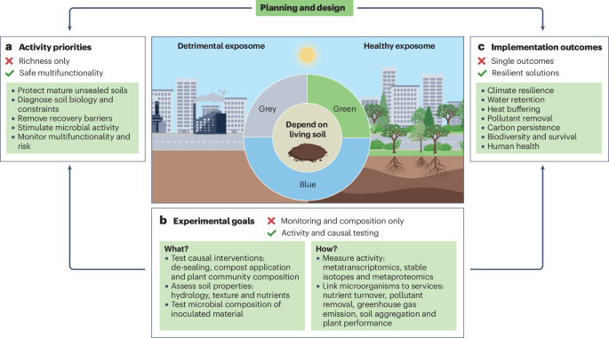 NatureRevMicro's tweet photo. New online! Cities cannot go green without soil microorganisms dlvr.​it/TVlHv4 https://t.co/fry2UIJS4s