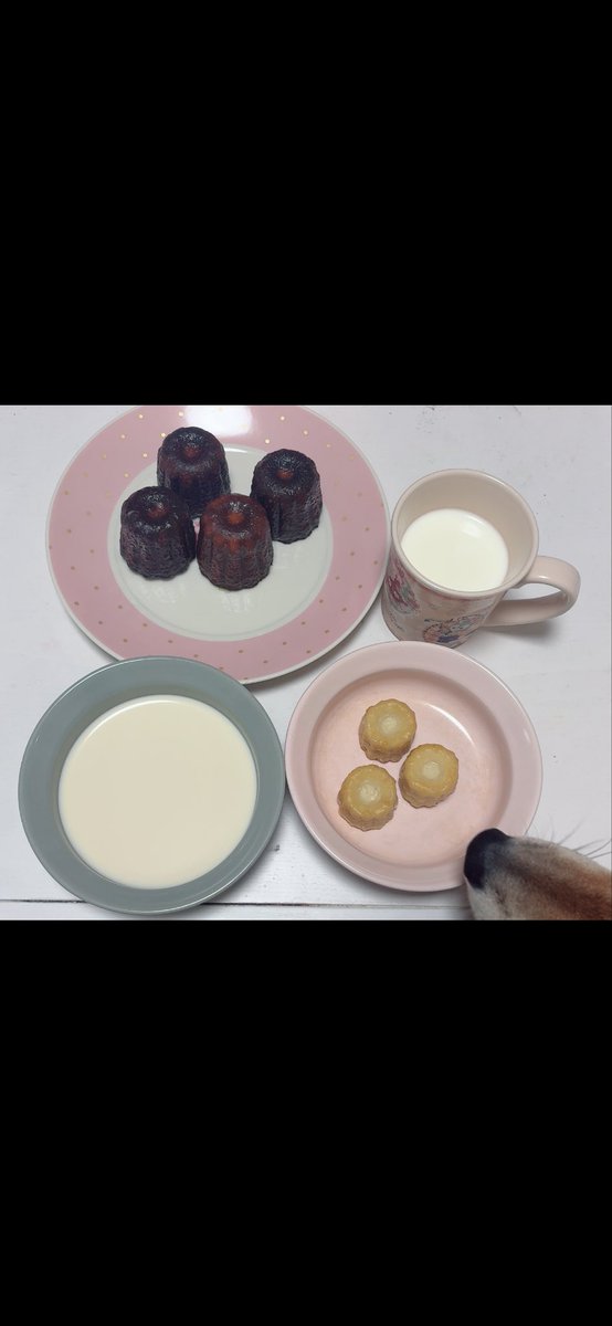 cerise_217's tweet photo. わんちゃん用のカヌレも購入して
マルちゃんとお家でティータイムして
良き休日だった🫖💕 https://t.co/xBc6hPhzmN