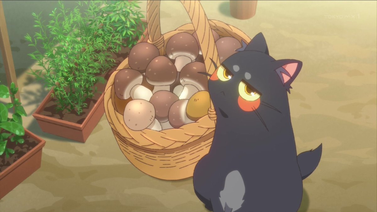 蒼き伝承 ウェルシュ＆シェダー 第1話 ツイート画像 1