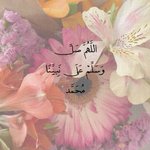 Photo by lightbysarah | سَاره (@lightbysarah)