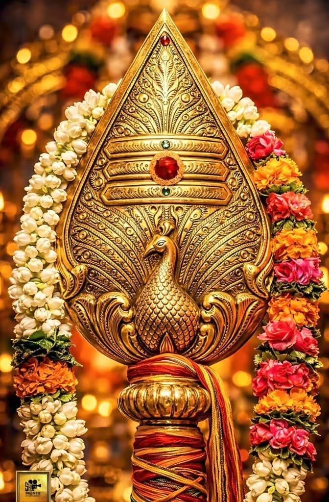 Sheetu1335617's tweet photo. Om Sarvana Bhava https://t.co/F5j10Wi37X