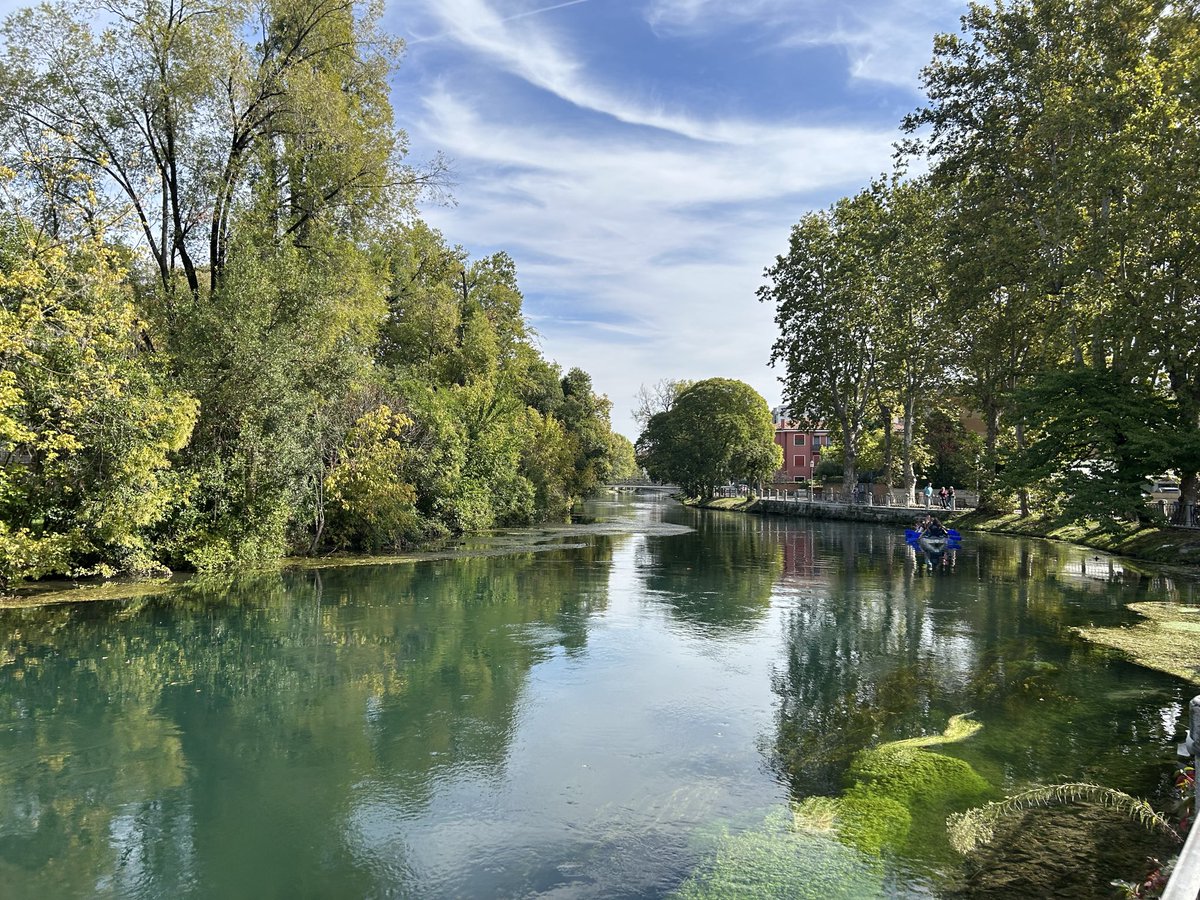 Libka4's tweet photo. Treviso, molto bene 🇮🇹👣👀💫🏉 https://t.co/d7DwwJVhTc