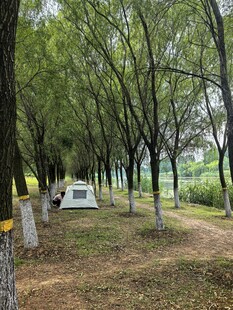 DheaYu4n's tweet photo. Lin Que, Tan Qiang, and You had a great time in the forest today.， https://t.co/TqmBWj5KKe