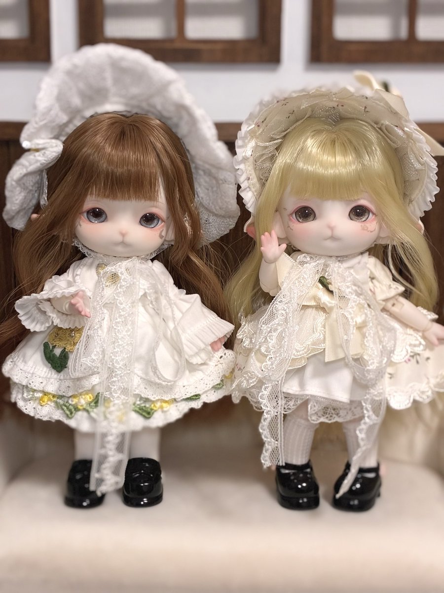 YnoDollacc's tweet photo. MiMiAちゃん！エミリーちゃんも今日お家に来てくれたのでお迎えしたかった子がようやく揃った！クオリティ本当すごすんぎ https://t.co/QAFlxdjoNx