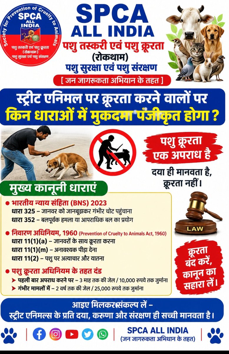 spcaallindia's tweet photo. https://t.co/Z3l0WjJUJ9