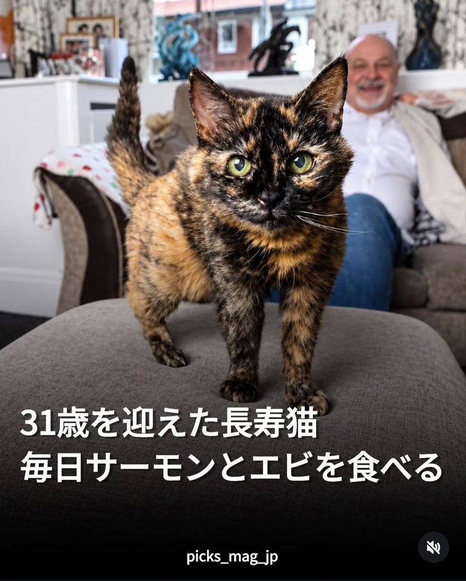syapoyade's tweet photo. こんなニュースだけでいい
https://t.co/ImlQipEHqS https://t.co/a5TMlaWnwv