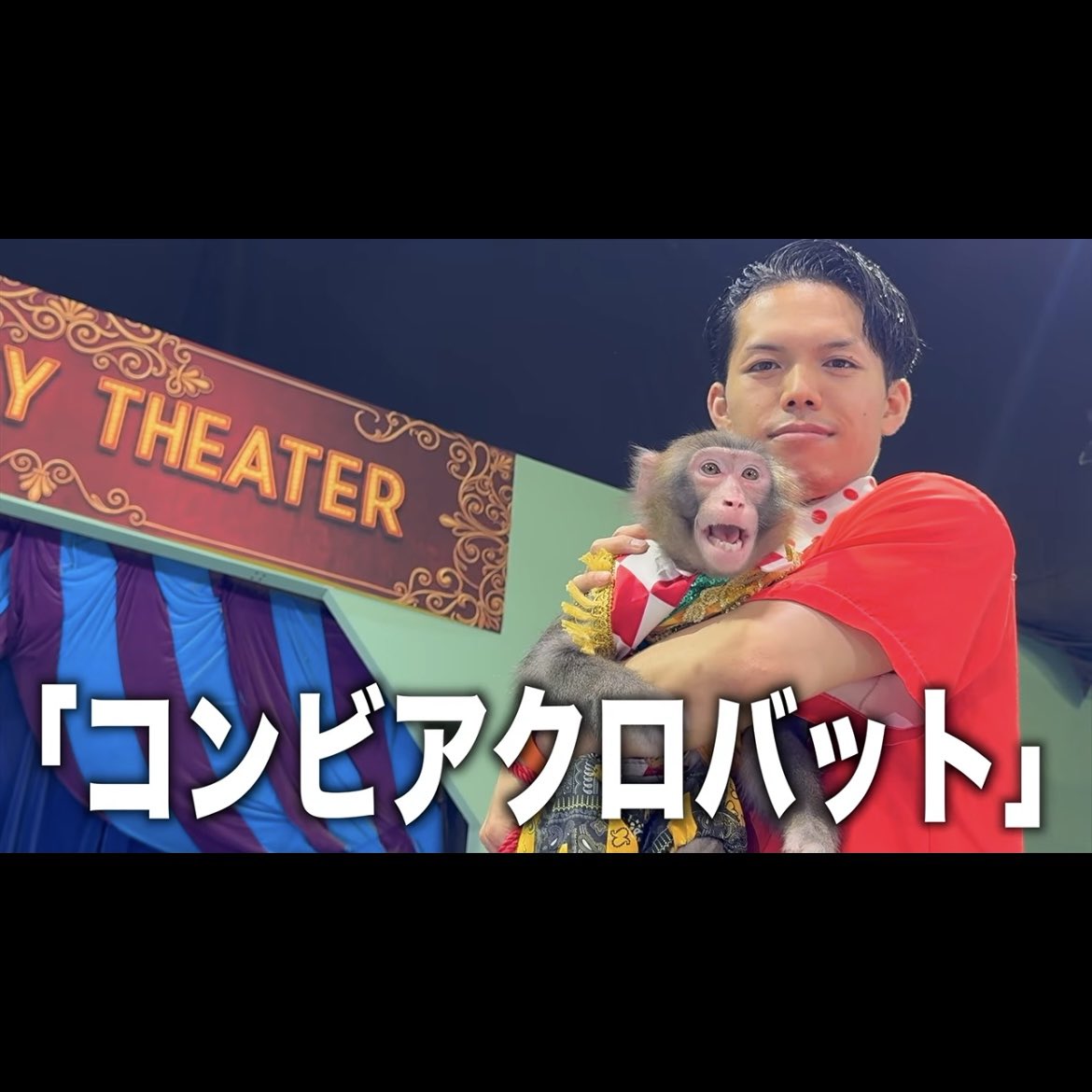 cheki_two_chii's tweet photo. 優勝ネタ全公開🎥感動と笑いとで良かった😆

紹介🎥で下奥さんが笑ってるのはシンちゃんがホーホー言ってるから？🤭

アクロバットを覚えれば覚えるほどシンちゃんの遊び方が凄くなっていく🤣

下奥さん足痛かったんだよね😢と思うと更にグッとくる😭

#エスハウス #シンくん https://t.co/B4OMtG8JUT