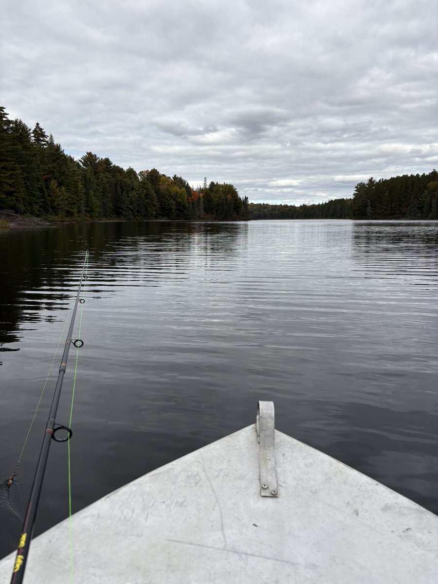 CanadianNunya's tweet photo. Out and about in the boat. Only thing I caught was a 2.5-3 lb sucker. Little buddy was put back in the water. #Fishing #Boating #Nature #MyTherapy https://t.co/P0mlGabXiY