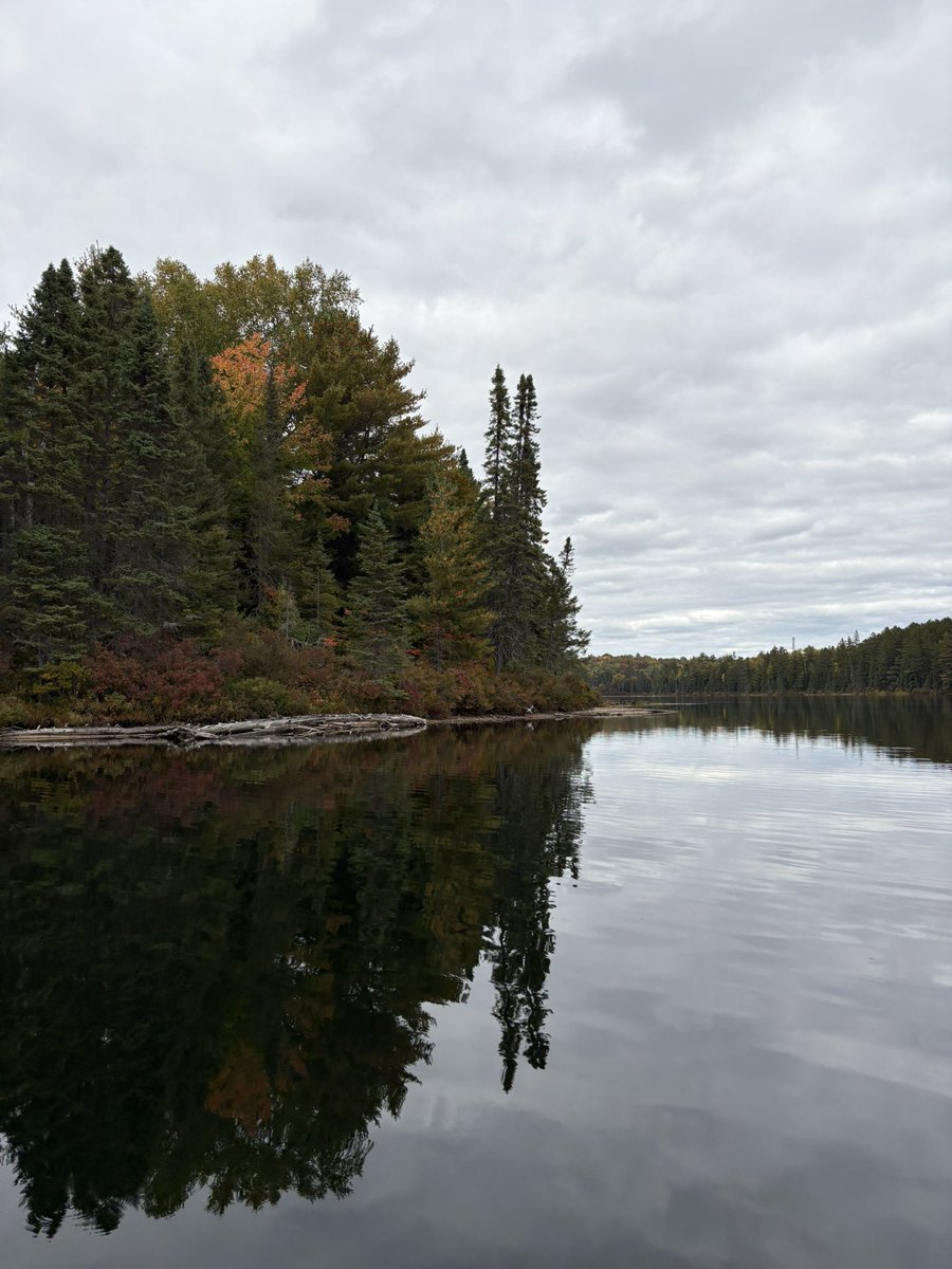 CanadianNunya's tweet photo. Out and about in the boat. Only thing I caught was a 2.5-3 lb sucker. Little buddy was put back in the water. #Fishing #Boating #Nature #MyTherapy https://t.co/P0mlGabXiY