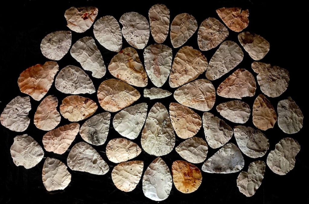 MoundLore's tweet photo. This is a hell of a thing to pull out of a soybean field.

51 large Burlington chert blades, stacked together and deliberately buried in northeast Missouri. They’re the kind archaeologists call North blades… Hopewell-era bifaces that could move enormous distances through exchange networks before ever becoming finished tools.

One turned up first.

Then they found the other 50 sitting together about four inches below the field.

Somebody put these there around 2,000 years ago.