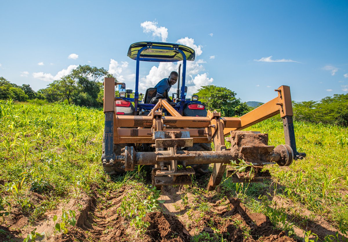 WFP_Zambia's tweet photo. In📍Katete, Mapulanga is helping smallholder farmers do more — offering land prep to harvest &amp; transport through the Govt-WFP Private sector led mechanisation🚜 initiative.

Using @HelloTractor's digital platform, he connects 👨‍🌾 to machinery, markets &amp; climate-smart practices. https://t.co/zsD5WlOX02