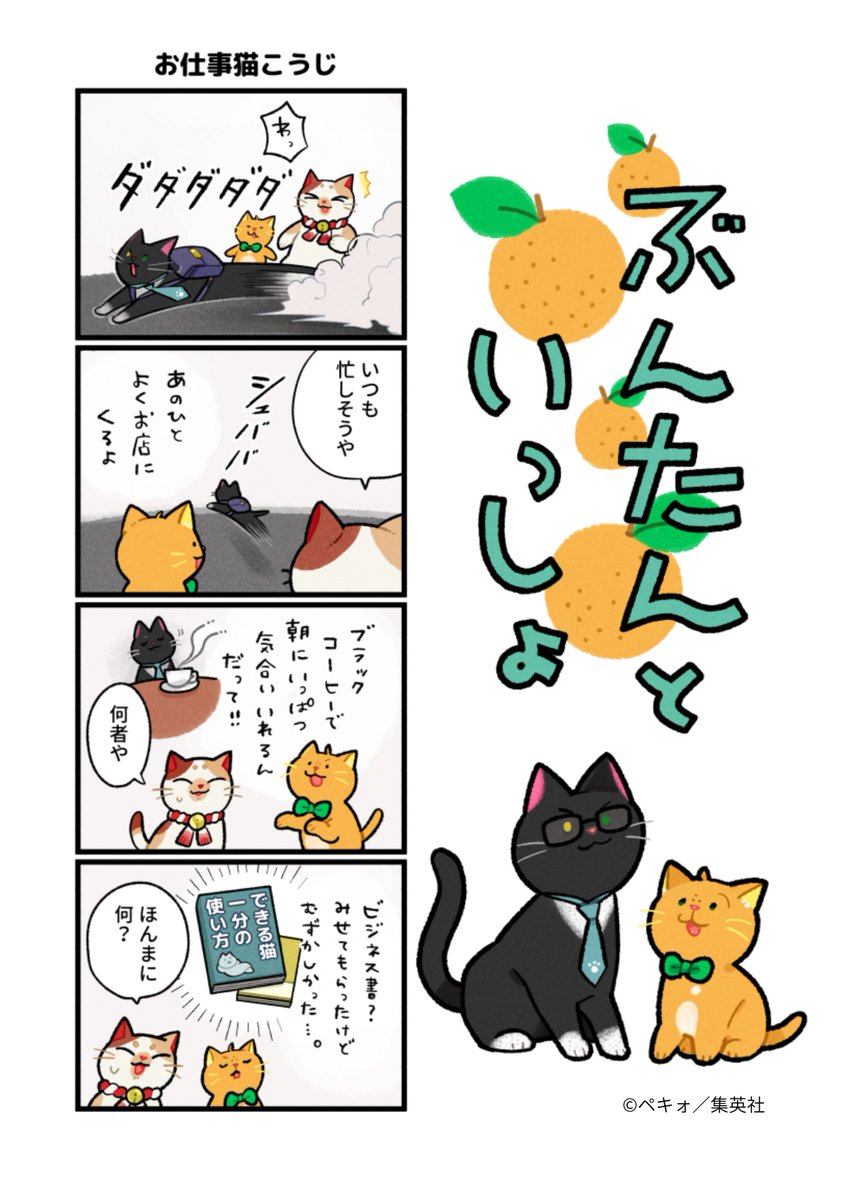 orangebunko's tweet photo. オレンジ文庫のマスコット・ぶんたんと、飼い主の橙子ちゃんの楽しい日常まんが「ぶんたんといっしょ」🐱  
第28回 『お仕事猫こうじ』👔

日向神社の三毛猫・キンカ丸、
漢方薬局のパンダ猫・ジュンジュンに続き
だいだい町に第三の猫登場！？
今回もキャラ濃いめの予感ですが、ぶんたんは誰とでもすぐお友達になれちゃいますね🐱🍊

#ぶんたんといっしょ 
#オレンジ文庫 
#集英社オレンジ文庫