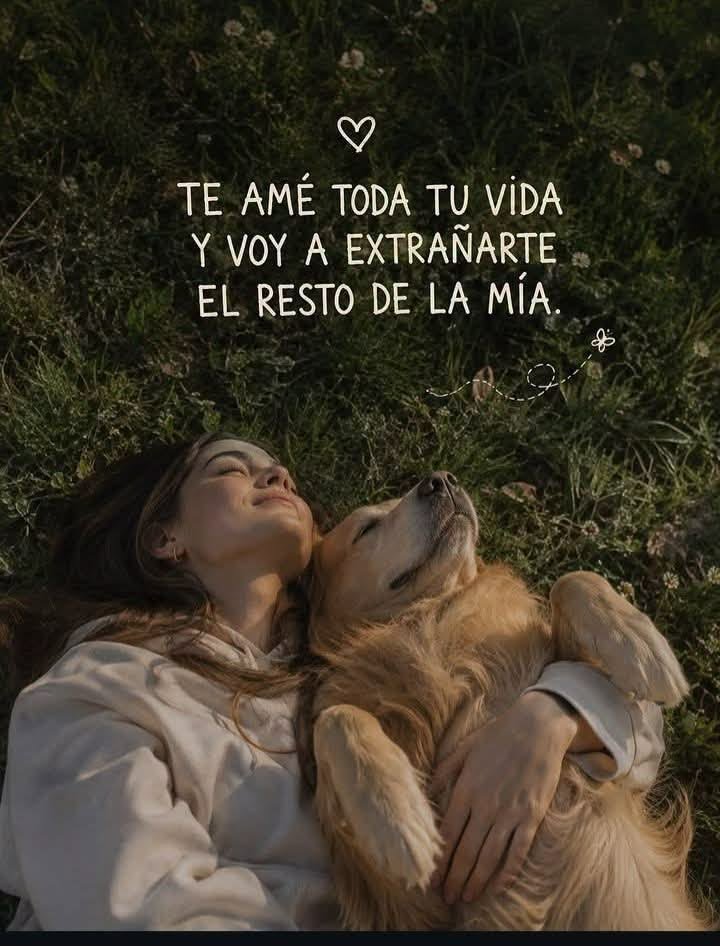 rey_latino33087's tweet photo. https://t.co/d04kGb8QS3